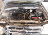 Ford Escape Xls/Xls Manual 1FMCU02Z48KE38724 fotografie