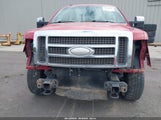 Ford F-150 Fx4/King Ranch/Lariat/Platinum/Xl/Xlt 1FTPW14V29FA62969 photo