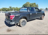 Ford F-150 Xlt 1FTFW1EF8CKD40145 снимка