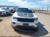 Jeep Grand Cherokee Trailhawk 4X4 1C4RJFLG8HC825990 fotografie