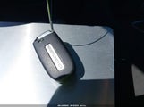 Miniaturka zdjęcia 11
