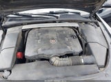 Cadillac Cts Luxury 1G6DF5E5XD0117742 снимка