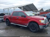 Ford F-150 Xlt 1FTFW1CF4DKD16946 снимка