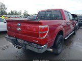 Ford F-150 Xlt 1FTFW1CF4DKD16946 снимка