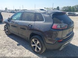 Jeep Cherokee Limited Fwd 1C4PJLDN3KD159996 fotografie