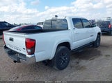 Toyota Tacoma Sr5 V6 3TMAZ5CN0PM198441 fotografie
