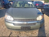 Chevrolet Malibu 1G1ZS52F65F208039 снимка