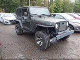 Jeep Wrangler Sport 1J4FA49S34P706826 снимка