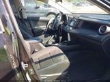 Toyota Rav4 Xle 2T3RFREV6JW856883 снимка
