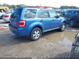Ford Escape Xlt 1FMCU0D70AKB41824 снимка