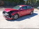 Hyundai Sonata Se 5NPE24AF9GH363971 снимка