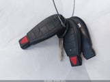 Miniaturka zdjęcia 11