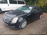 Cadillac Cts Standard 1G6DC5E53C0135412 fotografie