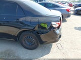 Toyota Corolla 1NXBU4EE8AZ259057 снимка