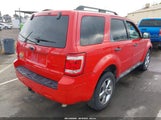 Ford Escape Xlt 1FMCU03G09KA33636 снимка