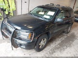 Chevrolet Trailblazer Ls 1GNDT13S852122359 снимка