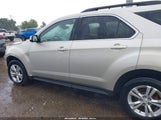 Chevrolet Equinox 1Lt 2GNALDEK1D6391922 fotografie