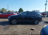 Hyundai Tucson Hybrid Limited KM8JECD12RU240341 снимка