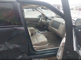 Ford Escape Xlt 1FMCU93198KC24082 снимка
