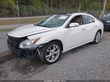 Nissan Maxima 3.5 Sv 1N4AA5AP1CC860623 снимка