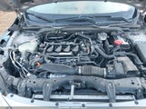 Honda Civic Ex-T 19XFC1F34GE201846 снимка