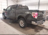 Ford F-150 Fx4/Harley-Davidson/King Ranch/Lariat/Platinum/Xl/Xlt 1FTFW1EV3AFD34380 снимка