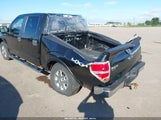 Ford F-150 Xlt 1FTFW1EF9DKE98382 снимка