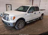 Ford F-150 Fx4/King Ranch/Lariat/Platinum/Xl/Xlt 1FTPW14V99FA80658 снимка