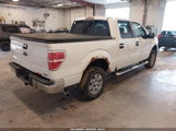 Ford F-150 Fx4/King Ranch/Lariat/Platinum/Xl/Xlt 1FTPW14V99FA80658 снимка