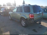 Ford Escape Hybrid 1FMCU59H48KB41429 снимка
