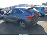 Ford Escape Sel Hybrid 1FMCU0CZ1MUA68958 fotografie
