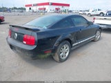 Ford Mustang V6 Deluxe/V6 Premium 1ZVFT80N755129159 снимка