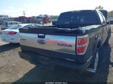 Ford F-150 Platinum 1FTFW1EF9BFD01703 снимка