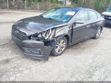 Hyundai Sonata Eco 5NPE24AA5FH132780 снимка