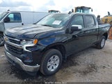 Chevrolet Silverado  2Wd Short Bed Lt 1GCPACEDXSZ118533 fotografie