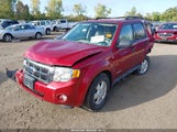 Ford Escape Xlt 1FMCU93198KC13373 снимка