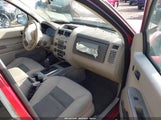Ford Escape Xlt 1FMCU93198KC13373 снимка