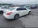 Nissan Maxima 3.5 Sv 1N4AA51E99C818806 снимка