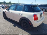 Miniaturka zdjęcia 3