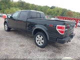 Ford F-150 Fx4/Harley-Davidson/King Ranch/Lariat/Platinum/Xl/Xlt 1FTFW1EVXAFA65844 fotografie