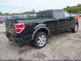 Ford F-150 Fx4/Harley-Davidson/King Ranch/Lariat/Platinum/Xl/Xlt 1FTFW1EVXAFA65844 fotografie