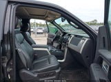Ford F-150 Fx4/Harley-Davidson/King Ranch/Lariat/Platinum/Xl/Xlt 1FTFW1EVXAFA65844 снимка