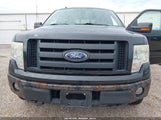 Ford F-150 Fx4/Harley-Davidson/King Ranch/Lariat/Platinum/Xl/Xlt 1FTFW1EVXAFA65844 fotografie