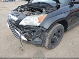 Honda Cr-V Lx 5J6RE483X8L010487 fotografie