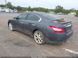 Nissan Maxima 3.5 Sv 1N4AA51E19C824437 снимка