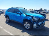 Toyota Rav4 Xle 2T3W1RFV6KW049684 fotografie
