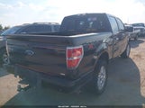 Ford F-150 Fx4/Harley-Davidson/King Ranch/Lariat/Platinum/Xl/Xlt 1FTFW1EV8AFD54768 fotografie