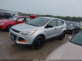 Ford Escape S 1FMCU0F77EUC50353 fotografie