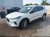Ford Escape Active 1FMCU0GN6RUA16904 fotografie