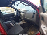 Ford Escape Xlt 1FMCU0D79BKB71342 снимка